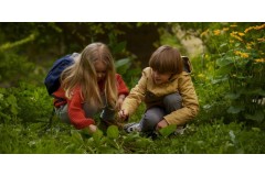 Wybieramy plecak na zieloną szkołę